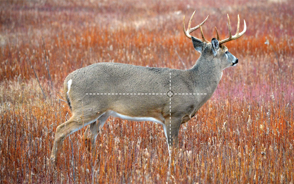 Shot Placement and Meat Loss: Why the Two Go Hand in Hand